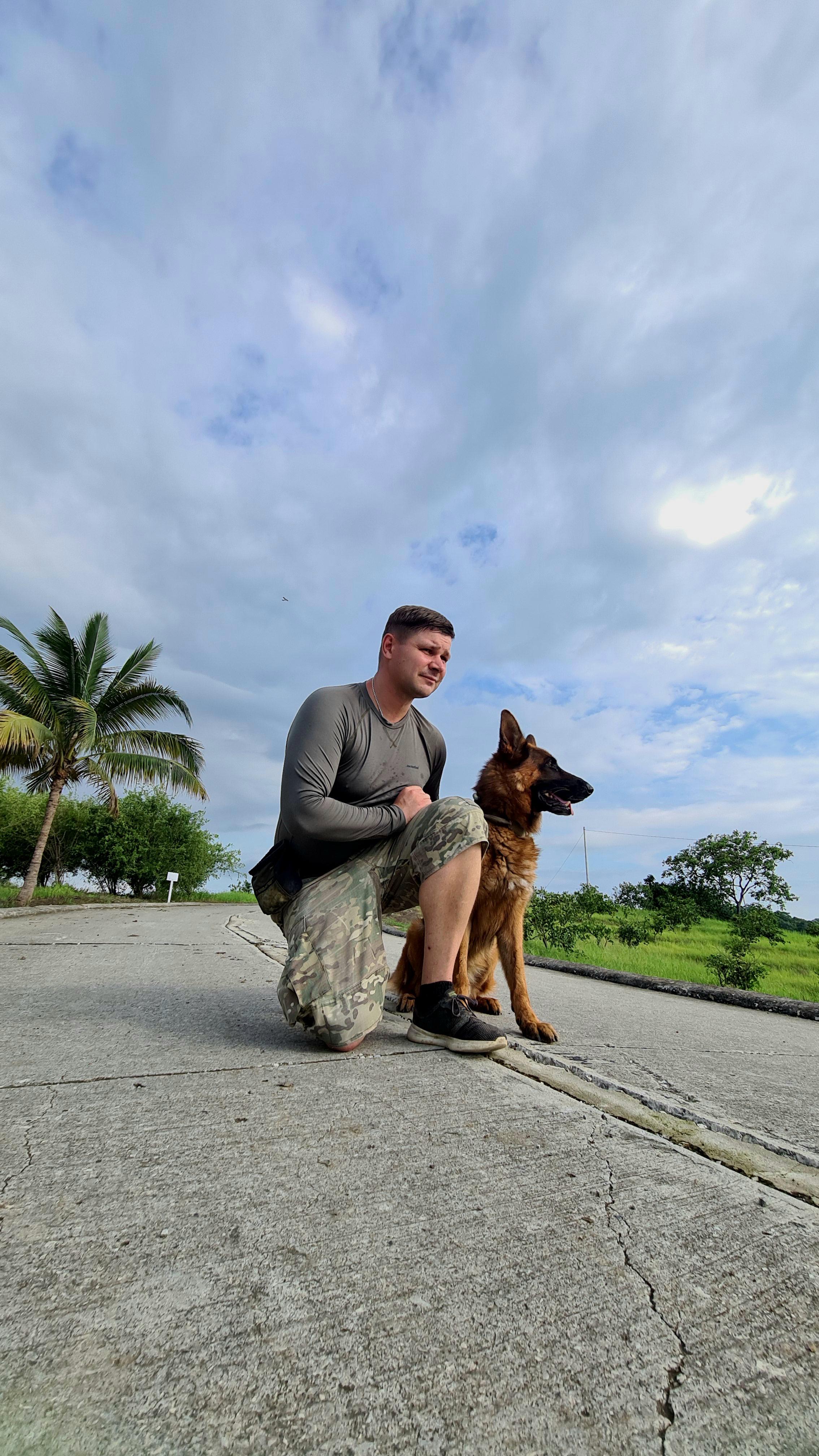 Professional dog training session