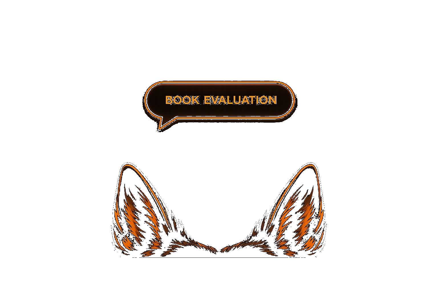 Book Evaluation