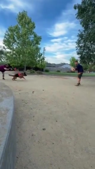 Training session preview